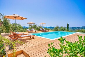 Olivista in Platonas