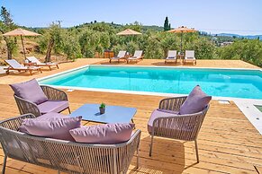 Olivista in Platonas