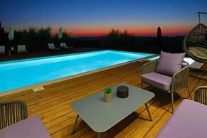 Olivista in Platonas