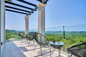 Olivista in Platonas