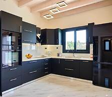 Olivista in Platonas