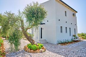 Olivista in Platonas