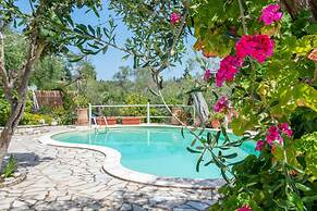 Georgina House in Velianitatika