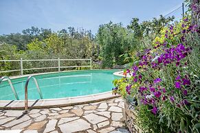 Georgina House in Velianitatika