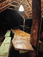 Jungle Stay by Bilwa Estate