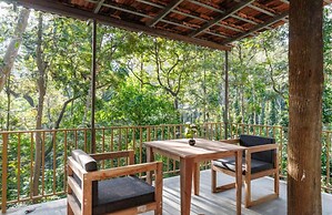 Jungle Stay by Bilwa Estate