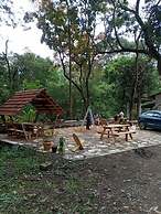 Jungle Stay by Bilwa Estate