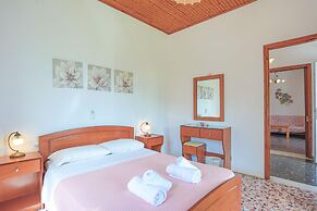 Irena Saint Stephanos