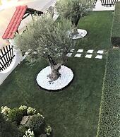 Amaryllis Luxury Rooms