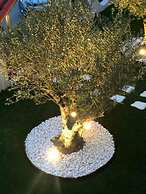 Amaryllis Luxury Rooms