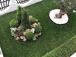 Amaryllis Luxury Rooms