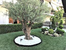 Amaryllis Luxury Rooms