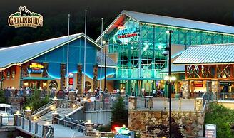 Gatlinburg Ski Week! 2 Bedroom 2 Bath Full Kitchen Sleeps N6834