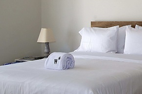 Eco by Wynwood House