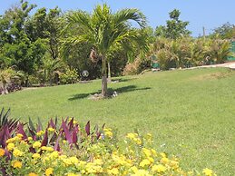 Hotel Gîtes Couleur Caraïbes