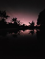 Tanager Lodge Quimbaya