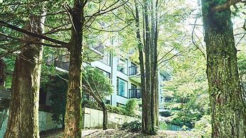 Tokyu Vacations Hakone Gora