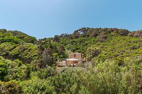 Nerissa Cottage - Skopelos Glossa