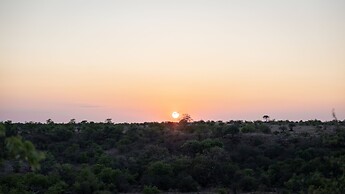 Mashatu Tent Camp - Mashatu Game Reserve