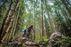 Modern King Room In Heart Of Mt. Crested Butte Hotel Room by RedAwning