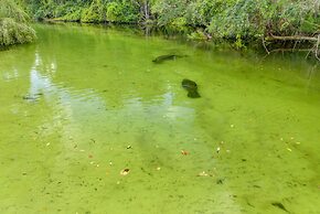 Manatee Cove Apartment Star5vacations