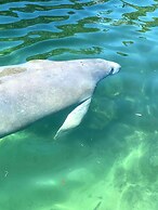 Manatee Cove Compound Retreat Star5vaca