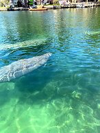 Manatee Cove Compound Retreat Star5vaca