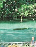 Manatee Cove Compound Retreat Star5vaca