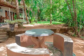 Yala River Moonlight