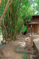 Yala River Moonlight