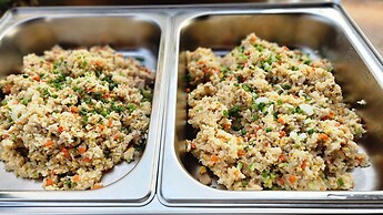 Earth Elements Eco Resort