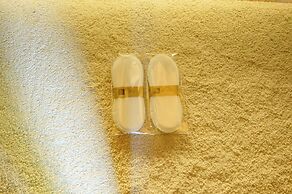 Earth Elements Eco Resort