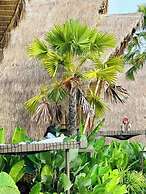 Earth Elements Eco Resort