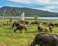 Earth Elements Eco Resort