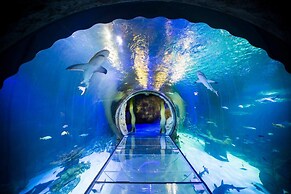 Vor5340aa: 4 Bed, Foodie's Fantasy, Pool