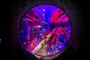 Vor5340aa: 4 Bed, Foodie's Fantasy, Pool