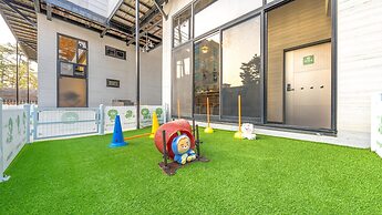 Gangneung Dangdangi Dog Pension Blue