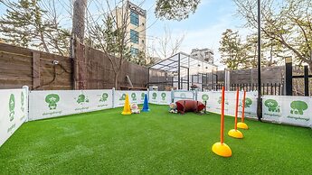 Gangneung Dangdangi Dog Pension Blue