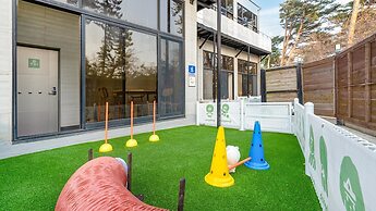 Gangneung Dangdangi Dog Pension Blue