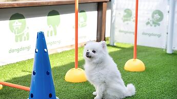 Gangneung Dangdangi Dog Pension Blue