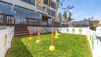 Gangneung Dangdangi Dog Pension Blue
