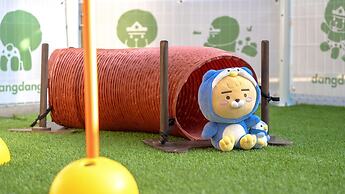 Gangneung Dangdangi Dog Pension Blue