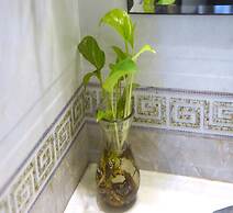 Sao Hotel Nguyen Ngoc Vu