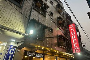 Shree Lodge Near New Delhi Railway Station, Paharganj