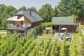Luxury Vineyard Retreat Matej