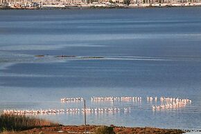 Villa Flamingo Lefkada