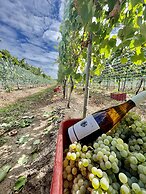 Finca del Sacramento