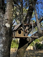 Noosa Hinterland Escape