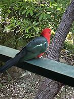 Noosa Hinterland Escape