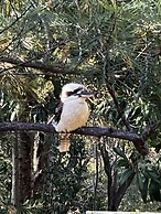 Noosa Hinterland Escape